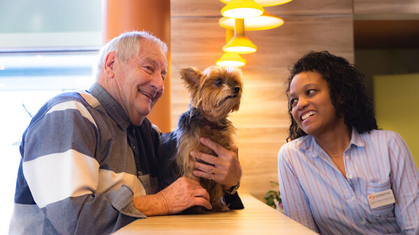 Domitys combien ça coûte